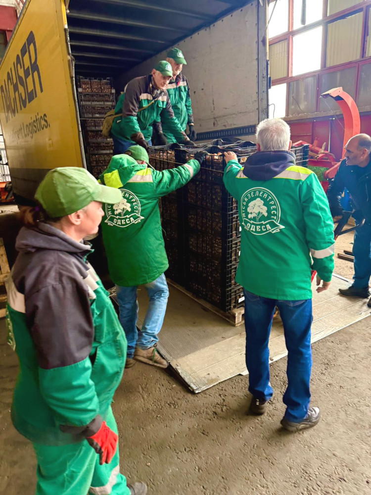 12114 image for slide