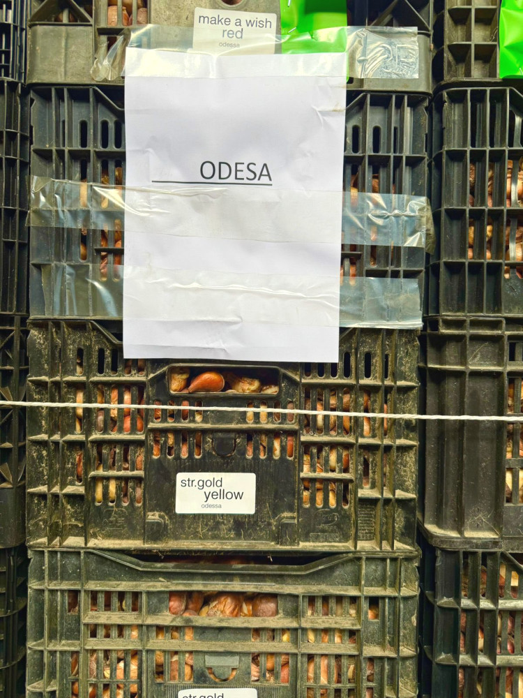 12115 image for slide