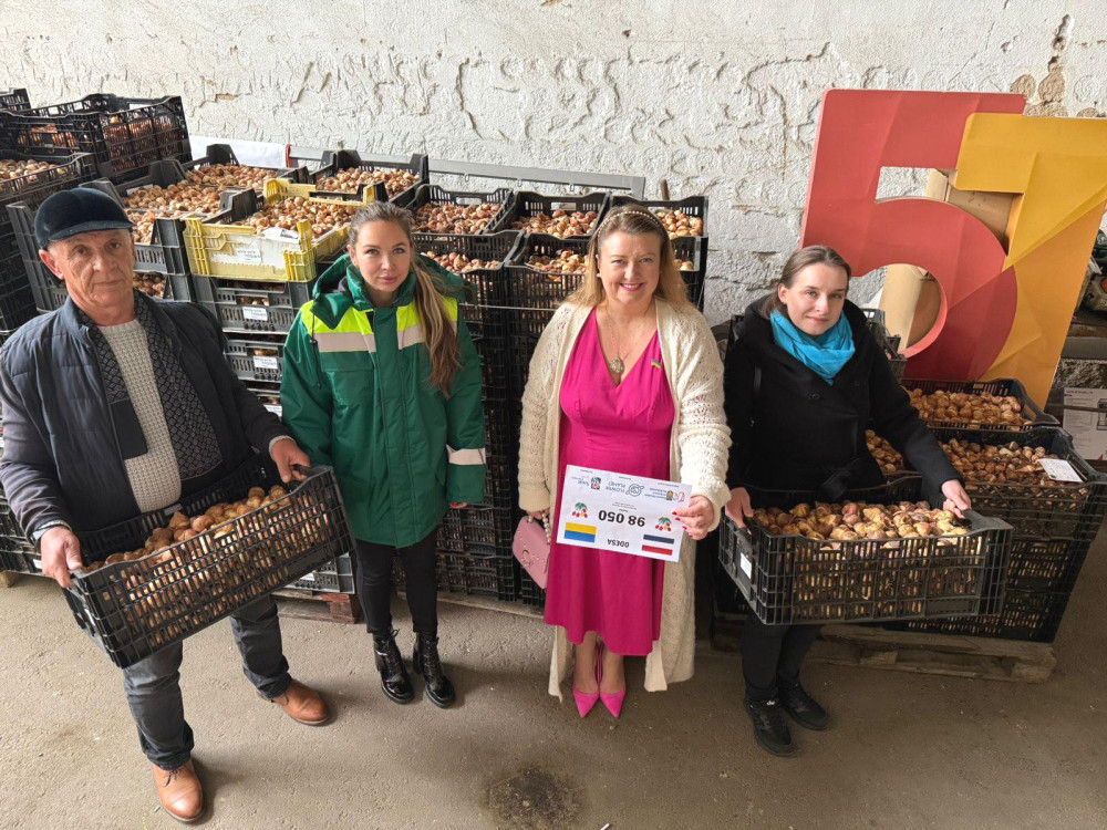 12116 image for slide