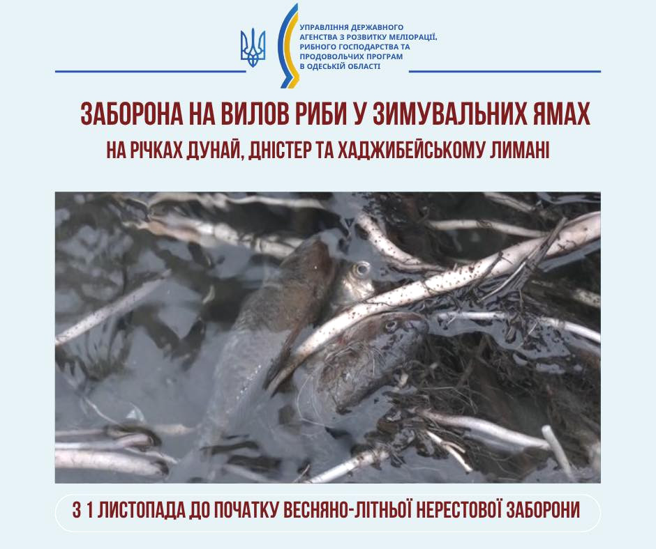 12129 image for slide