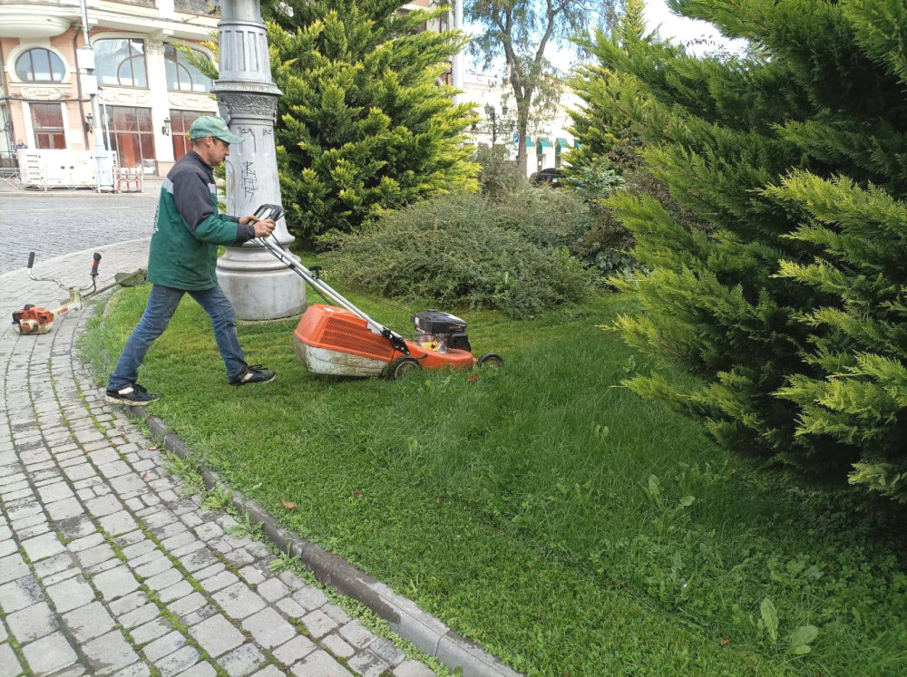 4526 image for slide